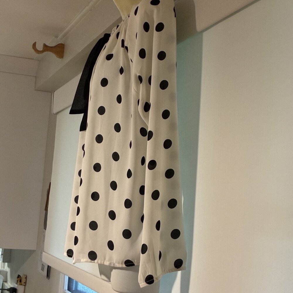 Banana Republic skirt ( size 0)  & white long sleeve polka dot blouse - preloved - Picture 9 of 9